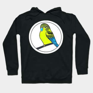 cute budgie parakeet | Hoodie